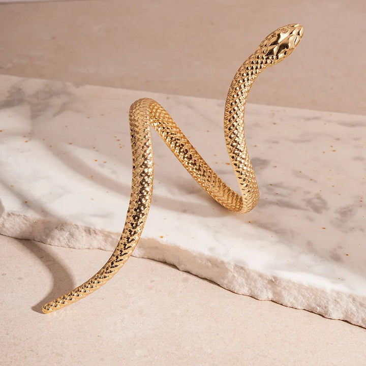 Zevella – Sæt Med Armbånd Og Ring Med Skulptureret Slangemotiv